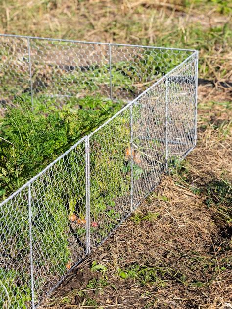 wire fence for chickens